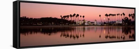 Reflection of Trees in Water, Santa Barbara, California, USA-null-Framed Stretched Canvas