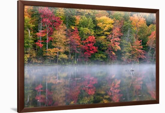 Reflection of trees on water, Adirondack Mountains State Park, New York State, USA-null-Framed Photographic Print