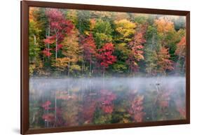 Reflection of trees on water, Adirondack Mountains State Park, New York State, USA-null-Framed Photographic Print