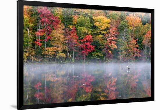 Reflection of trees on water, Adirondack Mountains State Park, New York State, USA-null-Framed Photographic Print