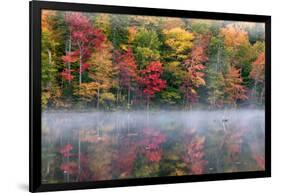 Reflection of trees on water, Adirondack Mountains State Park, New York State, USA-null-Framed Photographic Print