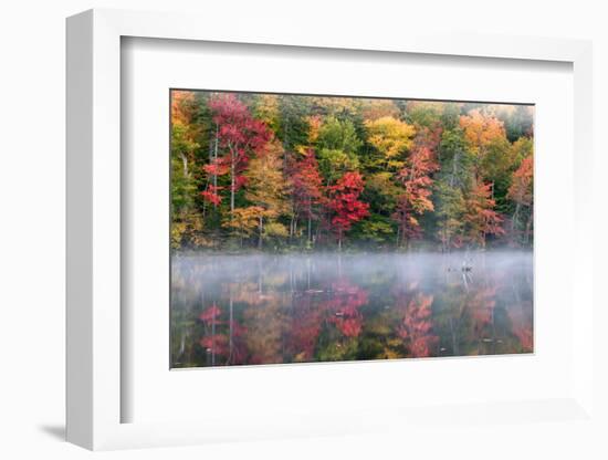 Reflection of trees on water, Adirondack Mountains State Park, New York State, USA-null-Framed Photographic Print