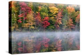 Reflection of trees on water, Adirondack Mountains State Park, New York State, USA-null-Stretched Canvas