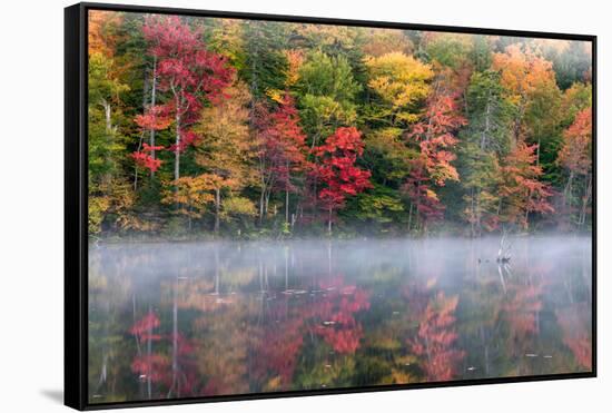 Reflection of trees on water, Adirondack Mountains State Park, New York State, USA-null-Framed Stretched Canvas