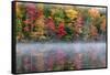 Reflection of trees on water, Adirondack Mountains State Park, New York State, USA-null-Framed Stretched Canvas