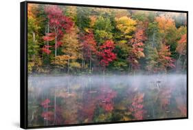 Reflection of trees on water, Adirondack Mountains State Park, New York State, USA-null-Framed Stretched Canvas