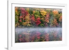 Reflection of trees on water, Adirondack Mountains State Park, New York State, USA-null-Framed Photographic Print