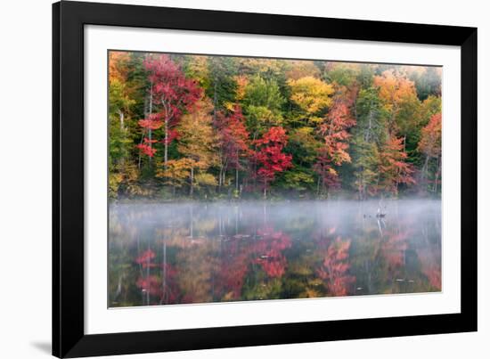 Reflection of trees on water, Adirondack Mountains State Park, New York State, USA-null-Framed Photographic Print