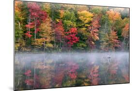 Reflection of trees on water, Adirondack Mountains State Park, New York State, USA-null-Mounted Photographic Print