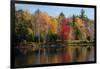 Reflection of trees on water, Adirondack Mountains State Park, New York State, USA-null-Framed Photographic Print