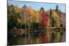 Reflection of trees on water, Adirondack Mountains State Park, New York State, USA-null-Mounted Photographic Print