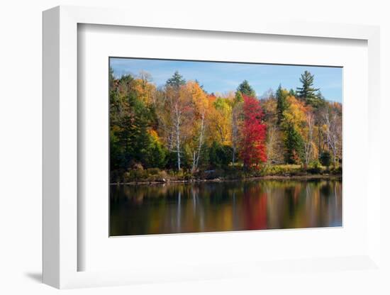 Reflection of trees on water, Adirondack Mountains State Park, New York State, USA-null-Framed Photographic Print