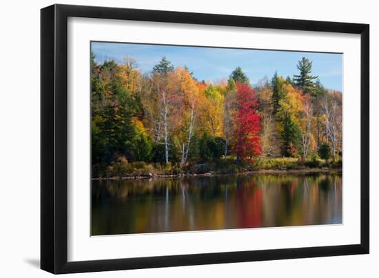 Reflection of trees on water, Adirondack Mountains State Park, New York State, USA-null-Framed Photographic Print