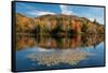 Reflection of trees on water, Adirondack Mountains State Park, New York State, USA-null-Framed Stretched Canvas