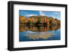 Reflection of trees on water, Adirondack Mountains State Park, New York State, USA-null-Framed Photographic Print