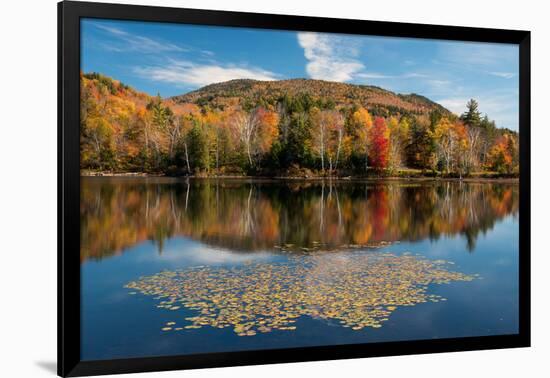 Reflection of trees on water, Adirondack Mountains State Park, New York State, USA-null-Framed Photographic Print