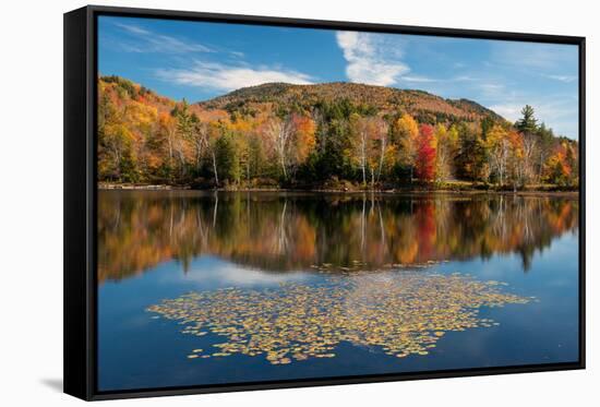 Reflection of trees on water, Adirondack Mountains State Park, New York State, USA-null-Framed Stretched Canvas