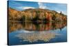 Reflection of trees on water, Adirondack Mountains State Park, New York State, USA-null-Stretched Canvas