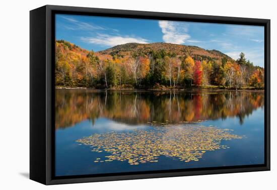 Reflection of trees on water, Adirondack Mountains State Park, New York State, USA-null-Framed Stretched Canvas