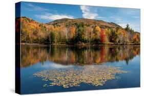 Reflection of trees on water, Adirondack Mountains State Park, New York State, USA-null-Stretched Canvas