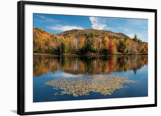 Reflection of trees on water, Adirondack Mountains State Park, New York State, USA-null-Framed Photographic Print