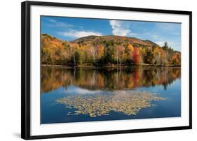 Reflection of trees on water, Adirondack Mountains State Park, New York State, USA-null-Framed Photographic Print