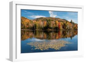 Reflection of trees on water, Adirondack Mountains State Park, New York State, USA-null-Framed Photographic Print