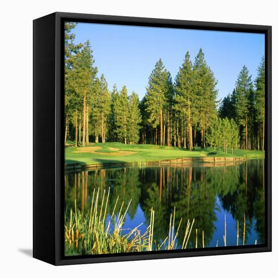 Reflection of Trees on Water, Edgewood Tahoe Golf Course, Stateline, Douglas County, Nevada, USA-null-Framed Stretched Canvas