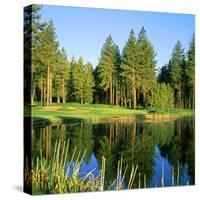 Reflection of Trees on Water, Edgewood Tahoe Golf Course, Stateline, Douglas County, Nevada, USA-null-Stretched Canvas