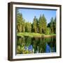 Reflection of Trees on Water, Edgewood Tahoe Golf Course, Stateline, Douglas County, Nevada, USA-null-Framed Premium Photographic Print