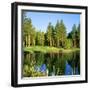 Reflection of Trees on Water, Edgewood Tahoe Golf Course, Stateline, Douglas County, Nevada, USA-null-Framed Premium Photographic Print