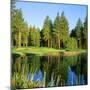 Reflection of Trees on Water, Edgewood Tahoe Golf Course, Stateline, Douglas County, Nevada, USA-null-Mounted Premium Photographic Print