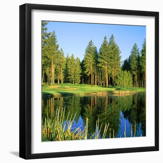 Reflection of Trees on Water, Edgewood Tahoe Golf Course, Stateline, Douglas County, Nevada, USA-null-Framed Photographic Print