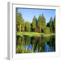 Reflection of Trees on Water, Edgewood Tahoe Golf Course, Stateline, Douglas County, Nevada, USA-null-Framed Photographic Print