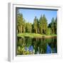 Reflection of Trees on Water, Edgewood Tahoe Golf Course, Stateline, Douglas County, Nevada, USA-null-Framed Photographic Print