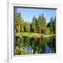 Reflection of Trees on Water, Edgewood Tahoe Golf Course, Stateline, Douglas County, Nevada, USA-null-Framed Photographic Print