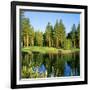 Reflection of Trees on Water, Edgewood Tahoe Golf Course, Stateline, Douglas County, Nevada, USA-null-Framed Photographic Print