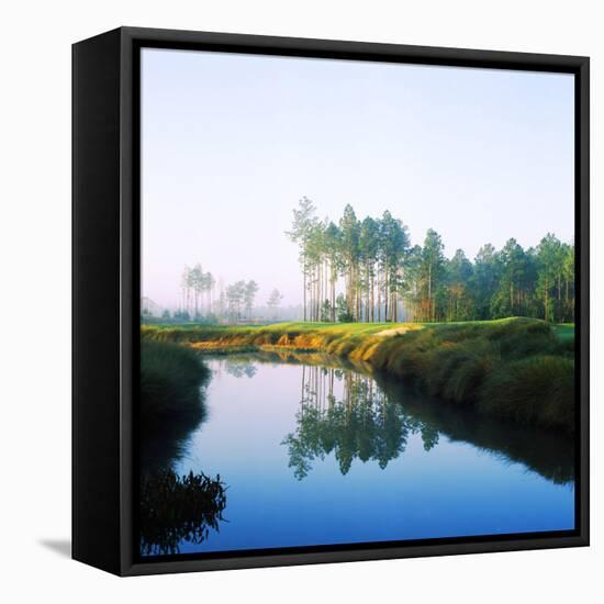 Reflection of Trees on Water in a Golf Course, Slammer and Squire Golf Course, St. Augustine-null-Framed Stretched Canvas