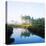 Reflection of Trees on Water in a Golf Course, Slammer and Squire Golf Course, St. Augustine-null-Stretched Canvas