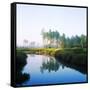 Reflection of Trees on Water in a Golf Course, Slammer and Squire Golf Course, St. Augustine-null-Framed Stretched Canvas