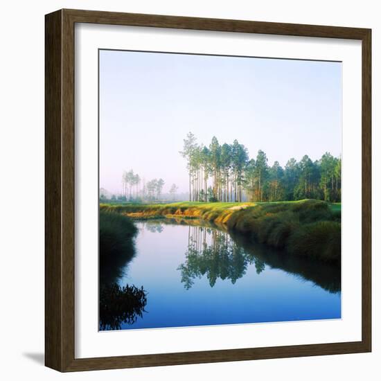 Reflection of Trees on Water in a Golf Course, Slammer and Squire Golf Course, St. Augustine-null-Framed Premium Photographic Print