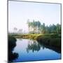 Reflection of Trees on Water in a Golf Course, Slammer and Squire Golf Course, St. Augustine-null-Mounted Premium Photographic Print