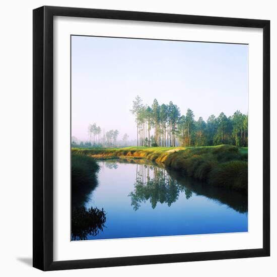Reflection of Trees on Water in a Golf Course, Slammer and Squire Golf Course, St. Augustine-null-Framed Photographic Print