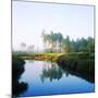 Reflection of Trees on Water in a Golf Course, Slammer and Squire Golf Course, St. Augustine-null-Mounted Photographic Print