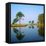 Reflection of Trees on Water, Ocean City Golf and Yacht Club, Berlin, Worcester County-null-Framed Stretched Canvas