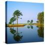 Reflection of Trees on Water, Ocean City Golf and Yacht Club, Berlin, Worcester County-null-Stretched Canvas