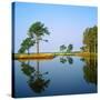 Reflection of Trees on Water, Ocean City Golf and Yacht Club, Berlin, Worcester County-null-Stretched Canvas