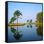 Reflection of Trees on Water, Ocean City Golf and Yacht Club, Berlin, Worcester County-null-Framed Stretched Canvas