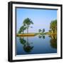 Reflection of Trees on Water, Ocean City Golf and Yacht Club, Berlin, Worcester County-null-Framed Photographic Print