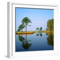 Reflection of Trees on Water, Ocean City Golf and Yacht Club, Berlin, Worcester County-null-Framed Photographic Print